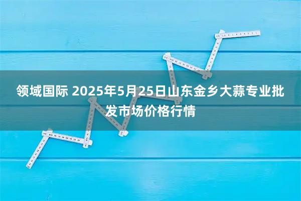 领域国际 2025年5月25日山东金乡大蒜专业批发市场价格行情