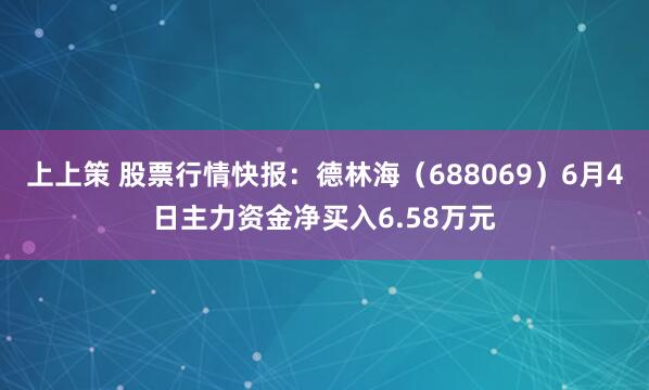 上上策 股票行情快报：德林海（688069）6月4日主力资金净买入6.58万元