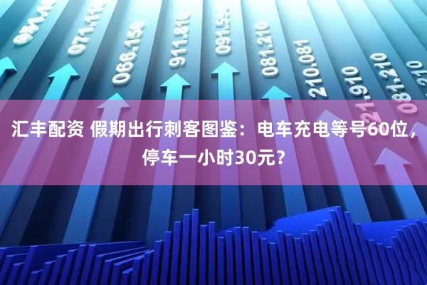 汇丰配资 假期出行刺客图鉴：电车充电等号60位，停车一小时30元？