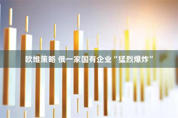 欧维策略 俄一家国有企业“猛烈爆炸”